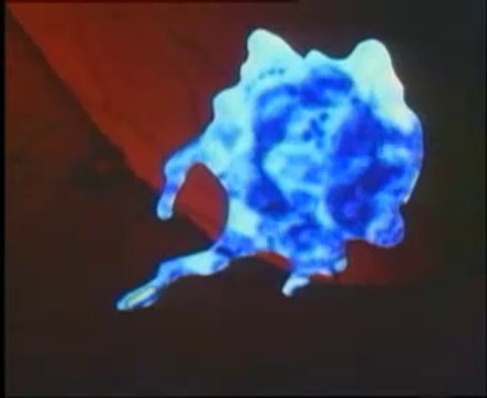 SONRADAN KAZANILAN BAĞIŞIKLIK-HASTALIK OLUŞMADAN KAZANILAN BAĞIŞIKLIK