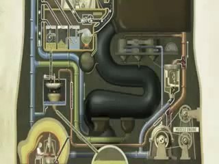 VÜCUDUMUZDAKİ SİSTEMLERİN ÇALIŞMASI