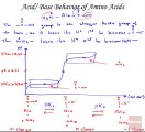 Acid_Base Behavior of Amino Acids,2