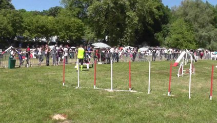 Freedom Sélectif Trophéé Cibiens M3