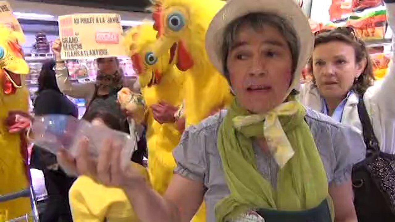La Brigade des poulets anti-GMT : Episode 5