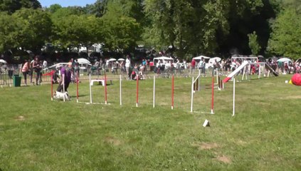 Elfie Sélectif Trophéé Cibiens M3