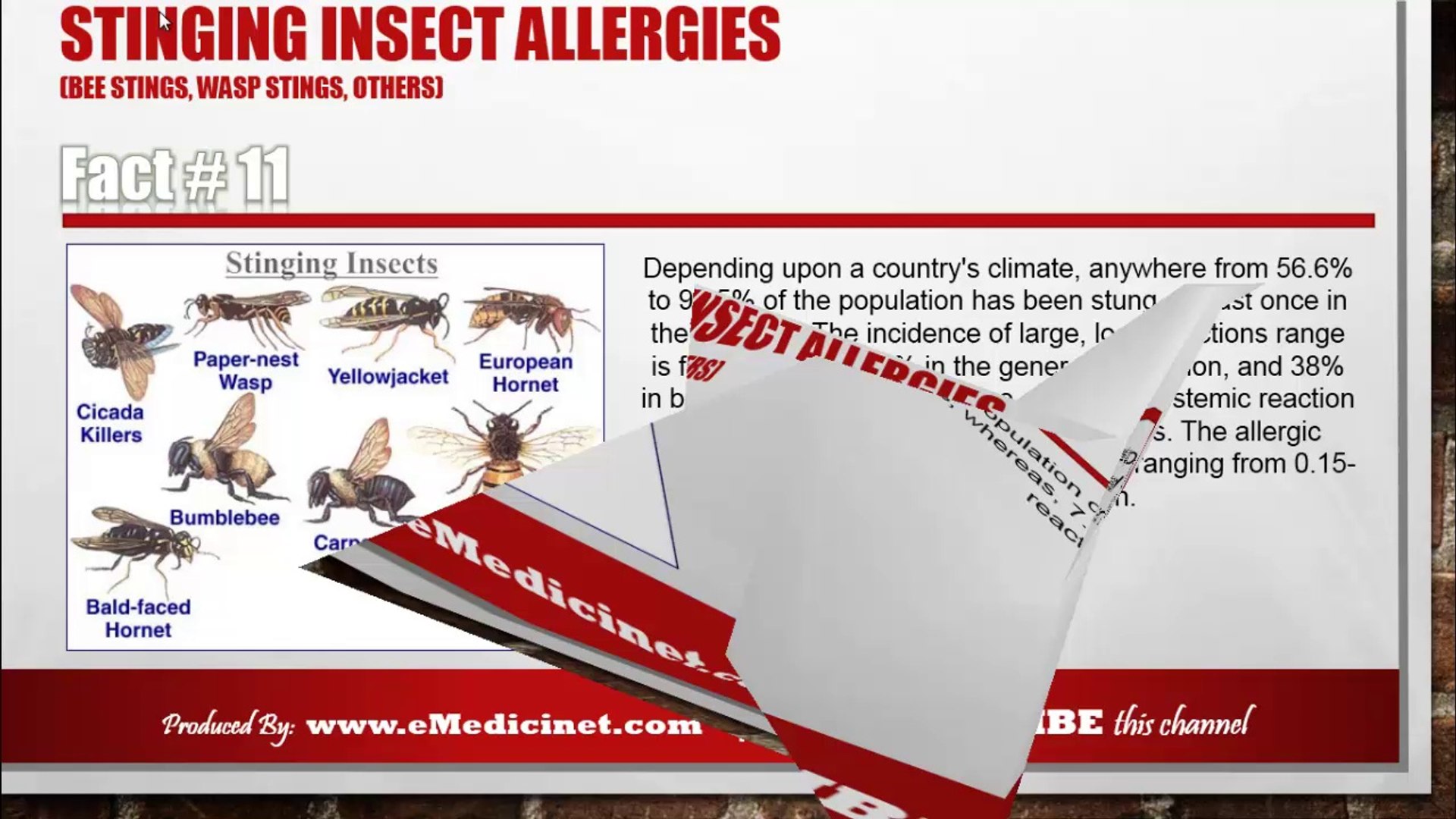 ⁣Stinging Insect Allergies