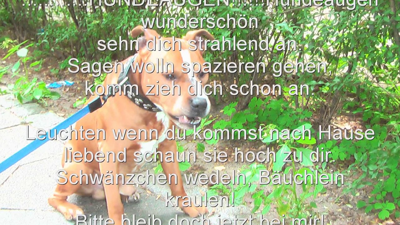 muss auch mal gesagt werden