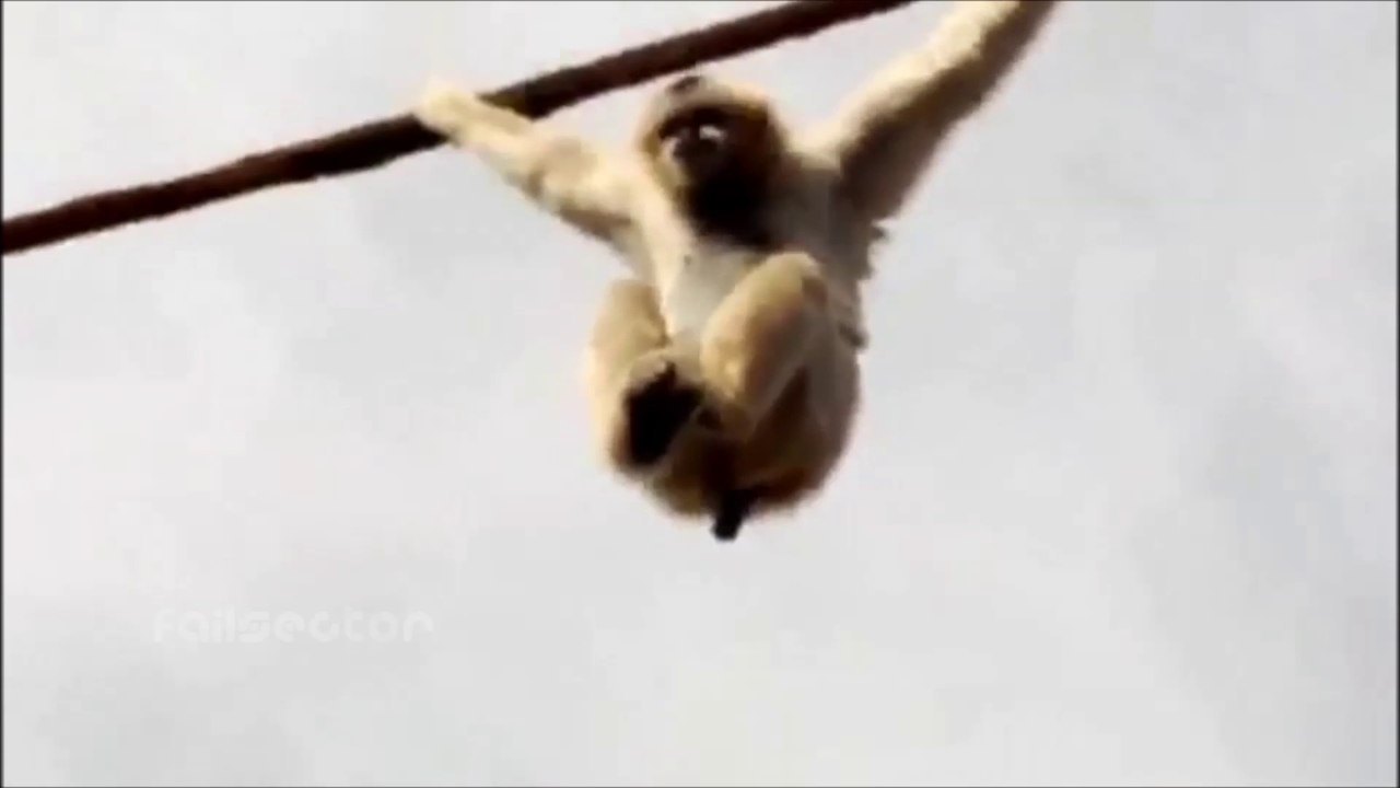 Best Fail Compilation JULY 2014 - #1 - Fails