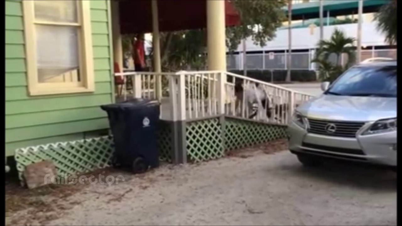 Best Fail Compilation JULY 2014 - #7 - Fails