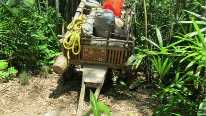 JJBWorks' So This Is Disney World