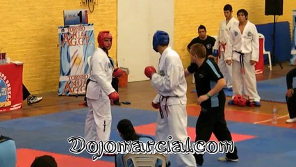 Lucha de Taekowndo - Fight Taekowndo - Luta Taekowndo - Lutte Taekowndo