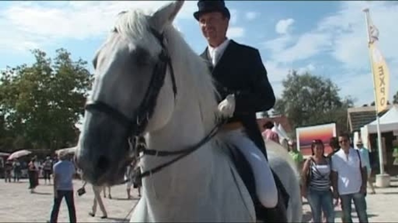 La Feria du Cheval au domaine Paul Ricard à Méjanes