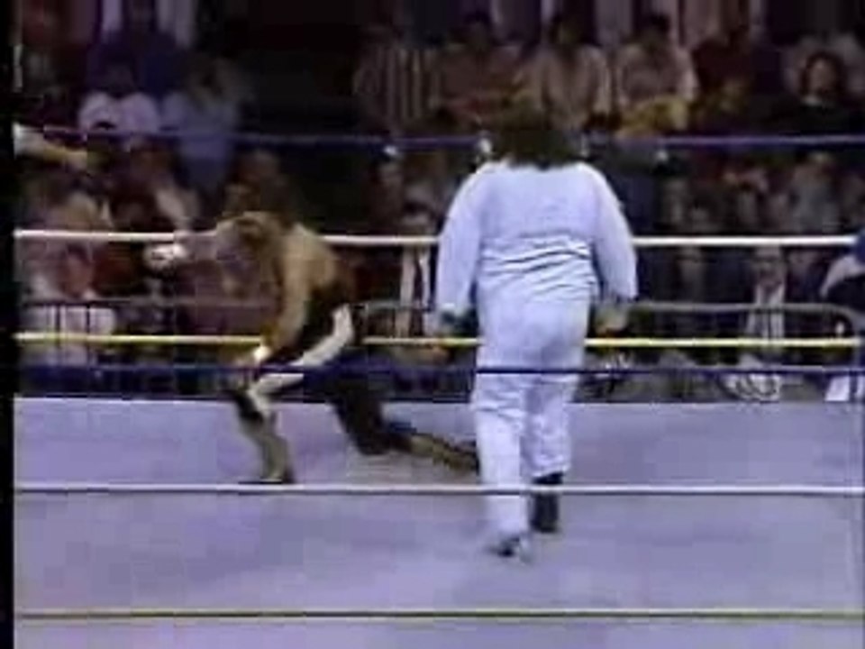 Norman the Lunatic vs Cactus Jack