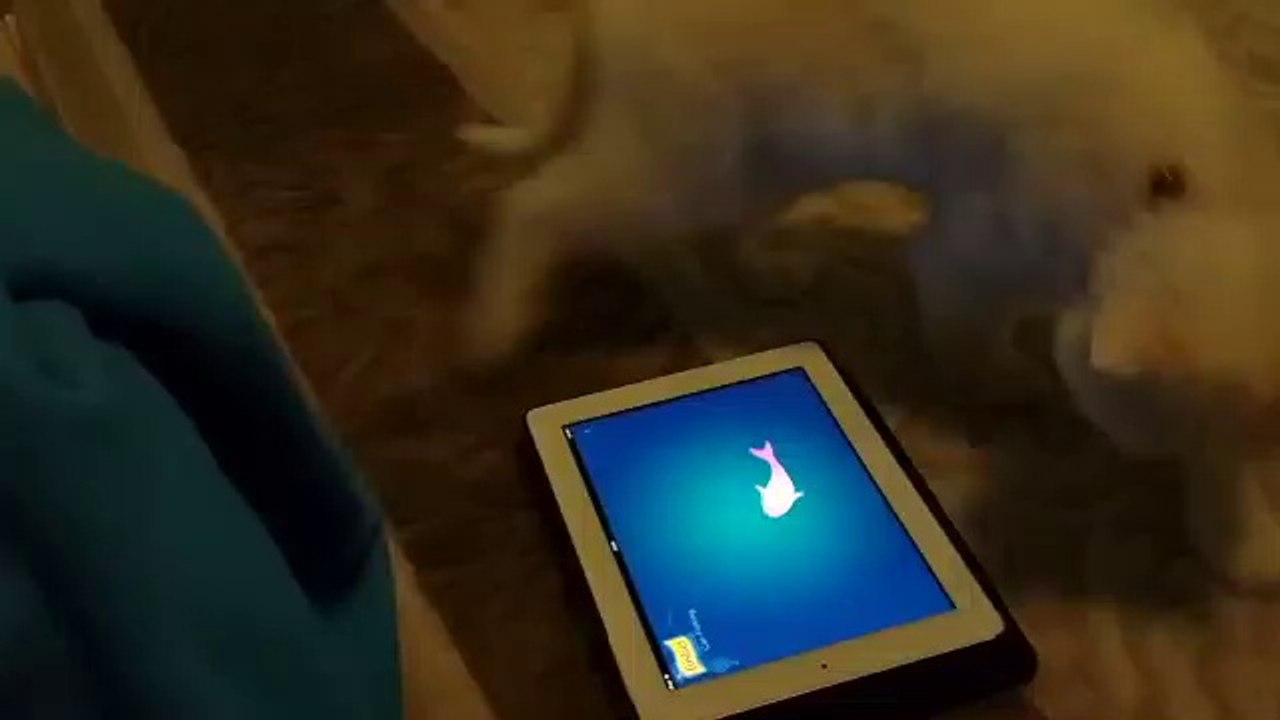 Persian VS IPad