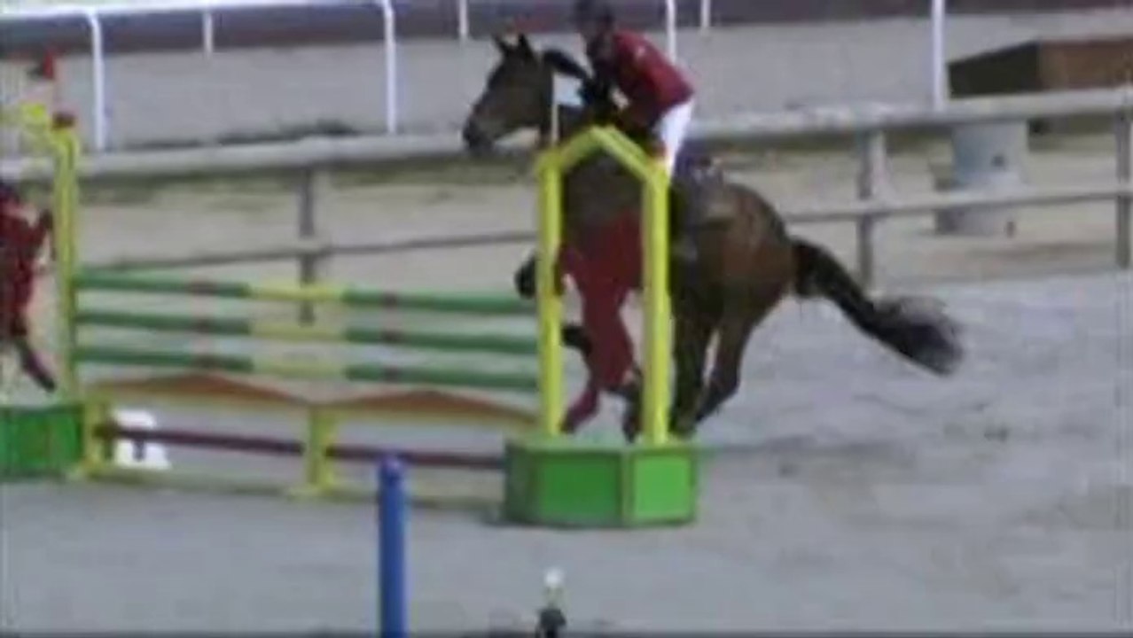 viking par apache d'adriers -cycle classique 5ans A landivisiau 2014