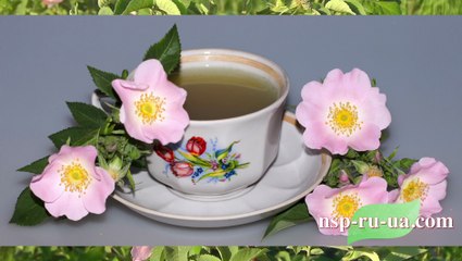 Рецепт приготовления травяного чая, настоя из цветов шиповника