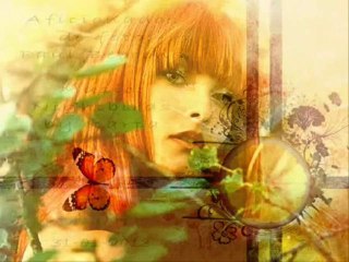 Art XI Morphing