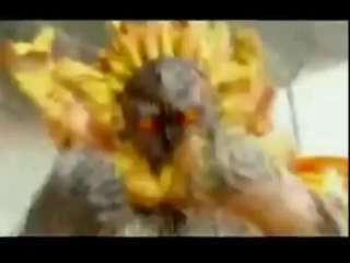 fanboy Review  kamen rider  w