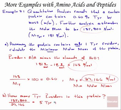 More Examples with Amino Acids & Peptides, Biochem - Tablet