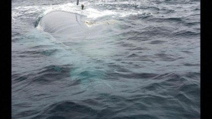 Missing British yacht spotted, no sign of crew or life raft