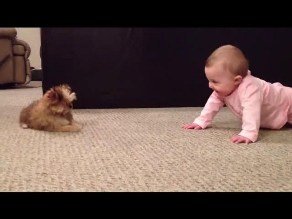 Baby lacht über Hund
