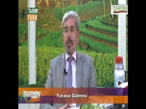 TURKUVAZ YARASA GÜBRESİ TARIMIN NABZI ( BÖLÜM 2)