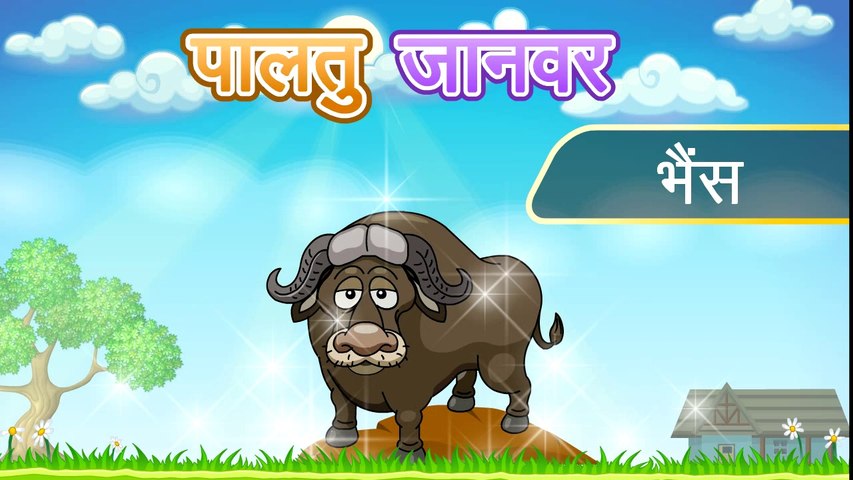 Domestic Animals | Animated Video For Kids | Hindi Animation Video - video  Dailymotion