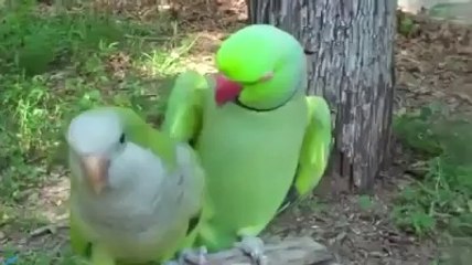 GIve Me A Kiss Plz. who said this.