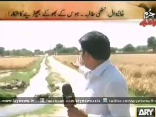 ARY Reporter Ke Kamsin Bachi Se Sharmnaak Sawalaat(1)