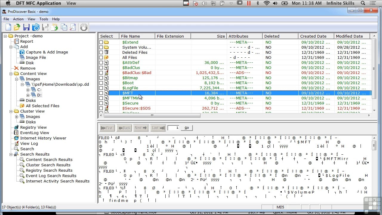 ProDiscover Basic