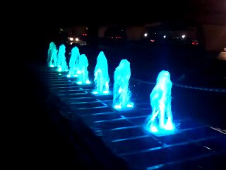 Canik Belediye Süs Havuzu 3