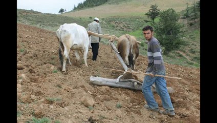 NALTAŞ KÖYÜ / SAİMBEYLİ