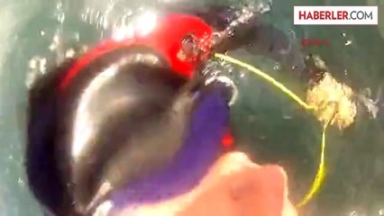 Namık Ekin Fsm Köprüsünden Atladı