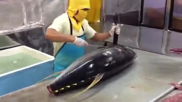 Découper un thon en moins de 2 minutes