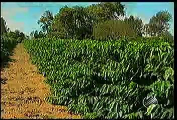 BLOGDOANDERSON.COM | BMD: Sábado, 24 de Maio de 2014.