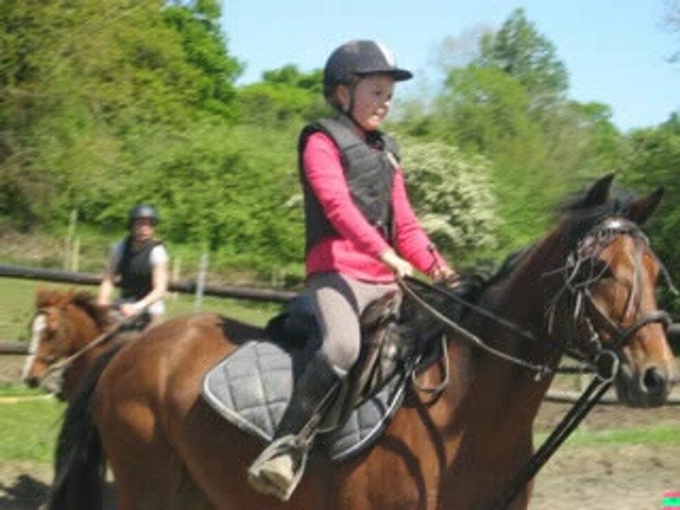couples cavaliers chevaux