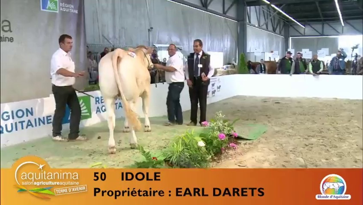 Live Concours en Direct