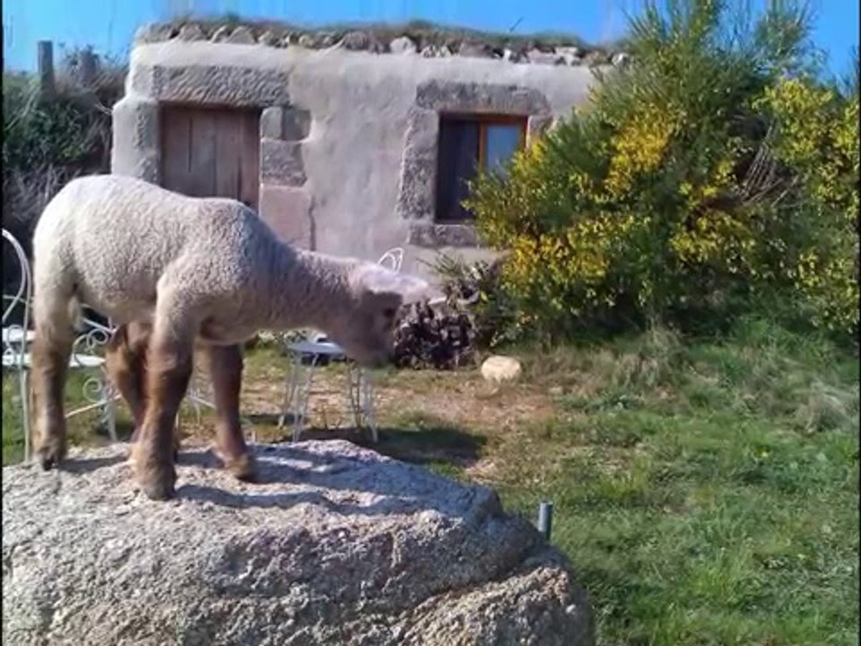 Location été hivers, vacances, séjours, au pays des Cabanes sur Pilotis