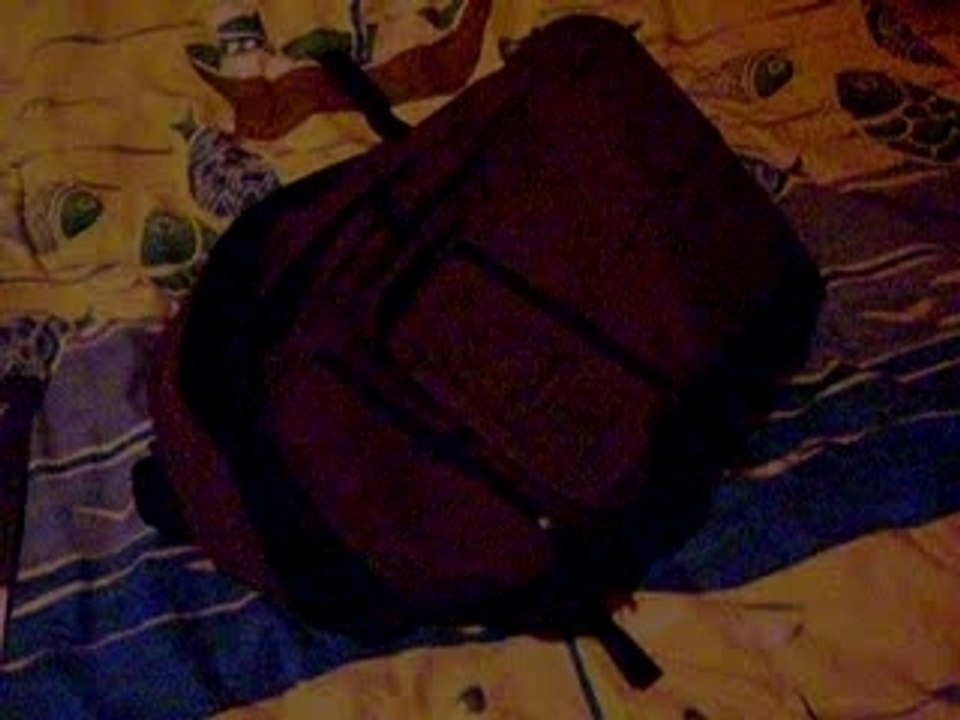 La chatte, dans le sac !!