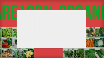 Heirloom Organic Vegetable Seeds