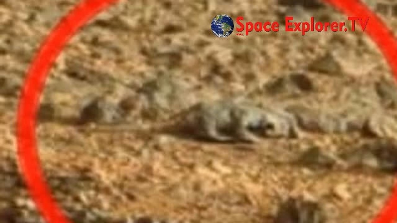 Rusya'dan dünyayı karıştıracak iddia: NASA Mars'ta hayat olduğunu gizliyor.