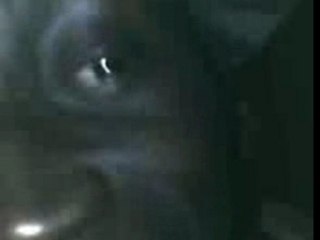 Sefyu rr baba ant
