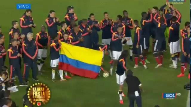 Mario Yepes y la Seleccion Colombia: Emotiva despedida en El Campin