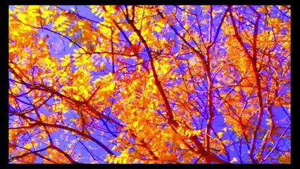 Godard y Dolan, premio del jurado en Cannes