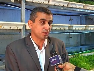 قضايا التنمية - الشعير