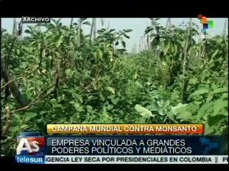 Entidades supranacionales protegen a Monsanto y sus productos-veneno