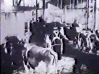 Abbot & Costello - Out Takes