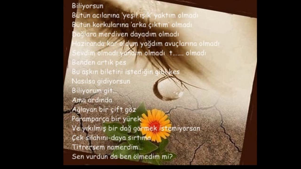 Ahmet Selçuk İLKAN Sen Vurdun da Ben Ölmedim Mi (Gözde Gökdeniz)