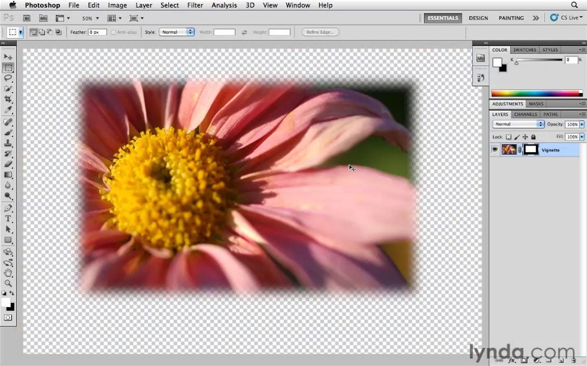 Photoshop CS5 Essential Training-2-What is Photoshop