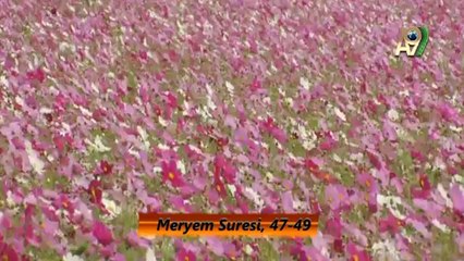 Hz. Yakup (as) Kıssası