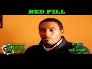 Bull Sh-t ! Found In Black Conscious Debates