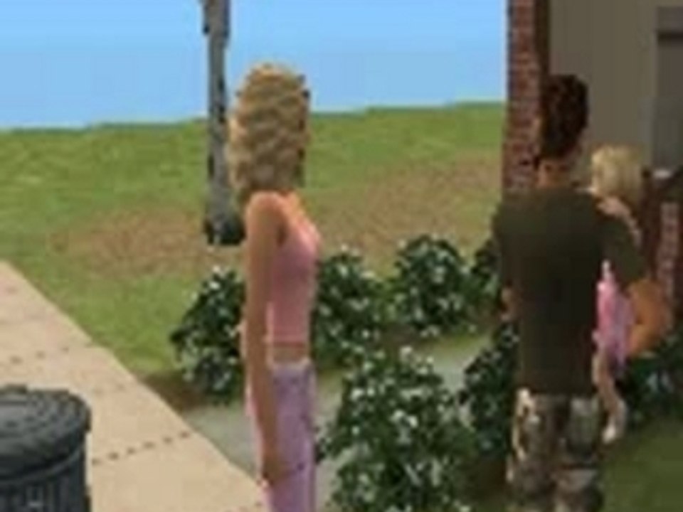 sims