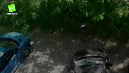 Novafeltria, incendio alle scuole innescato da piumini di pioppo